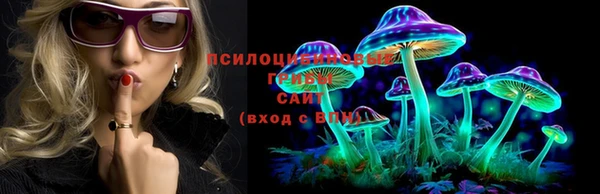 круглые Ладушкин