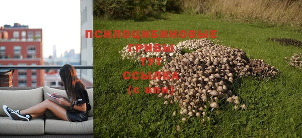 крисы Лагань