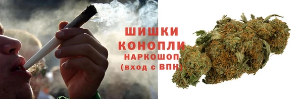 крисы Лагань