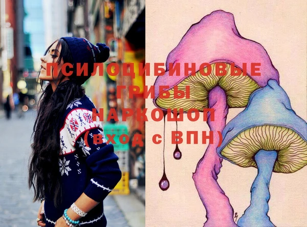 круглые Ладушкин
