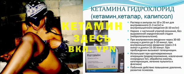 крисы Лагань