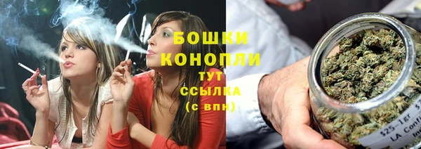 крисы Лагань