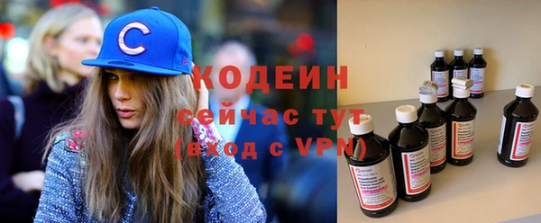 крисы Лагань