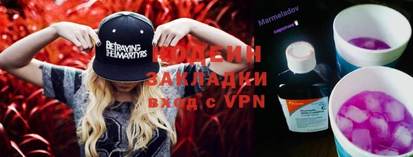 крисы Лагань