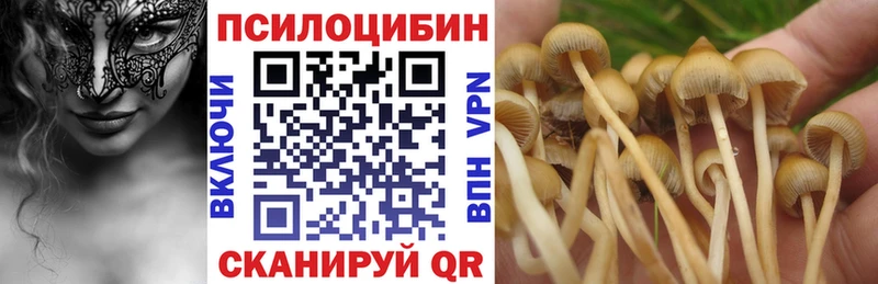 omg зеркало  Чусовой  Псилоцибиновые грибы ЛСД 